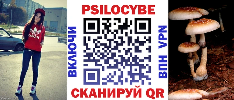Галлюциногенные грибы мухоморы  Алейск 