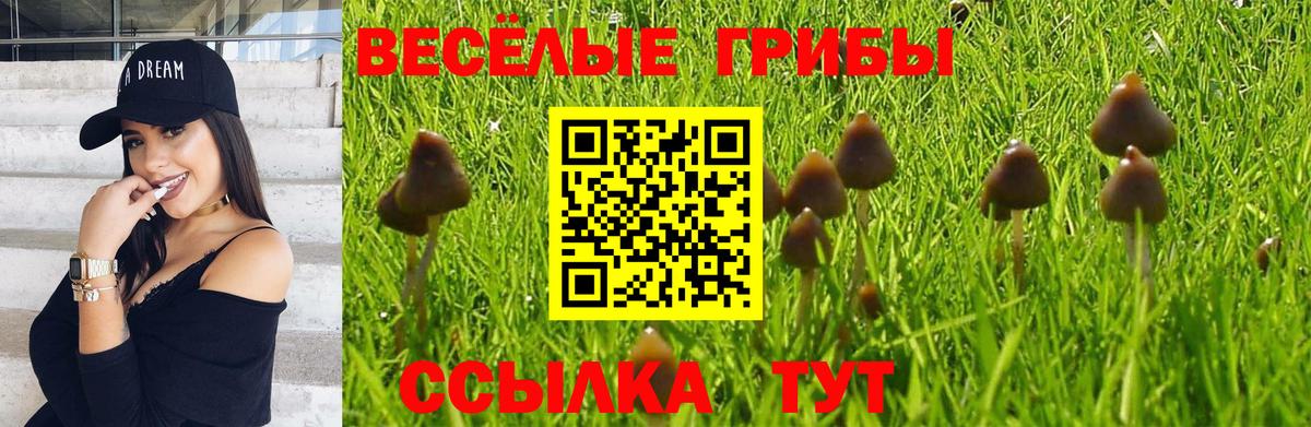 Галлюциногенные грибы Psilocybine cubensis  закладка  Галлюциногенные грибы MAGIC MUSHROOMS  Алейск  Вход с VPN 