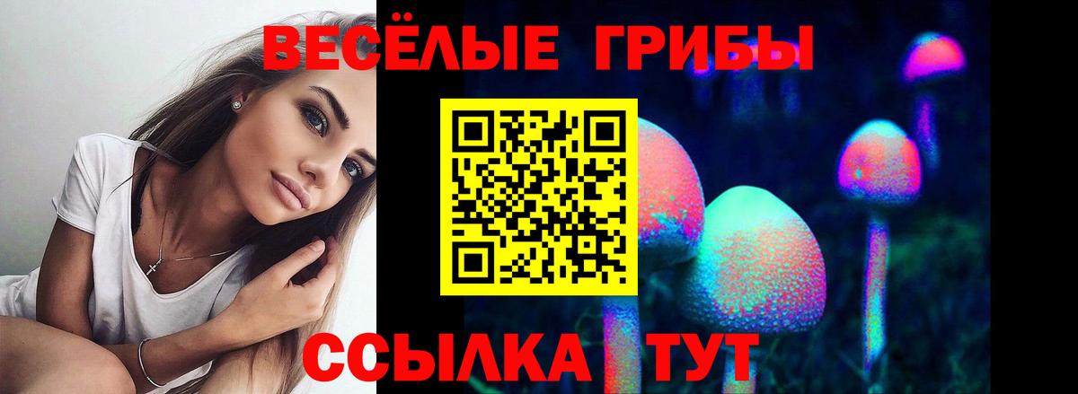 Псилоцибиновые грибы Psilocybe Алейск
